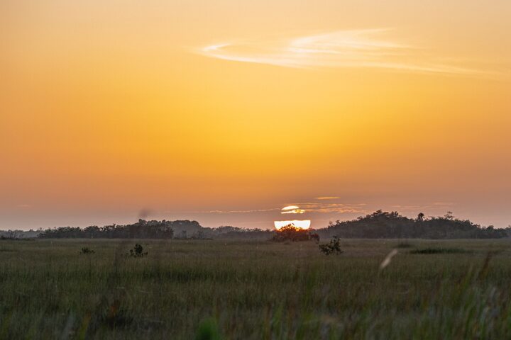 Our Mission: There Is Only One Everglades