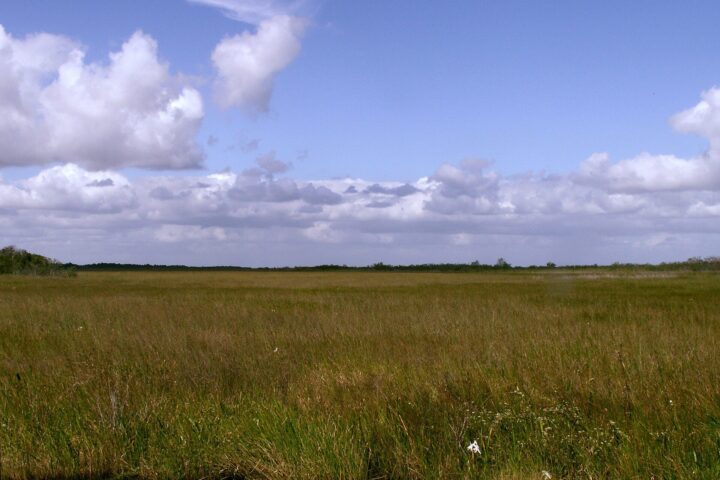 December 6, 1947: The Day the Everglades Became a National Park