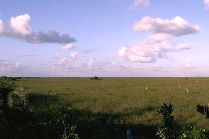 Why the Everglades Is a River, Not a Swamp